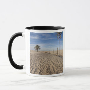 Mug Tunisie, désert du Sahara, Douz, Grande Dune, aub