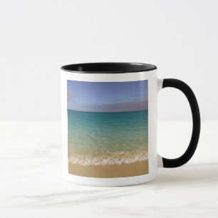 Mug Turks et Caïcos, île de Providenciales, Grace 2