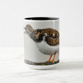 Mug Turnstone Georgia Photographie de mignonne Dramati (Centre)