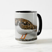 Mug Turnstone Georgia Photographie de mignonne Dramati (Devant droit)