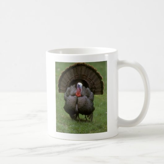 Mug Turquie (Droite)