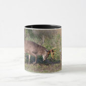 Mug Turquie sauvage aux cerfs de Virginie (Centre)