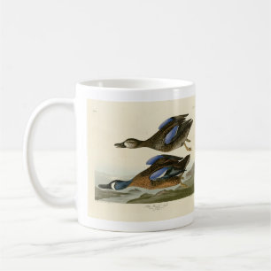 Mug Turquoise à ailes bleues d'Audubon's Birds of Amer