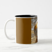 Mug Two-Tons 11oz (Marbre-4) (Gauche)