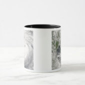 Mug Typhoon Prapiroon (Centre)