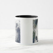 Mug Typhoon Tokage au sud du Japon (Centre)