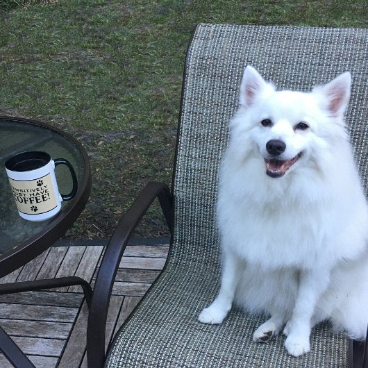 Mug Typographie de patte de chien amateur de café mign