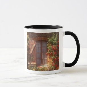 Mug UE, France, Provence, Vaucluse, Apt. Maison 2