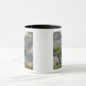 Mug Umbrella Thorn Acacia, Acacia tortilis et 2 (Centre)