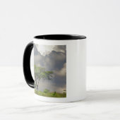 Mug Umbrella Thorn Acacia, Acacia tortilis et 2 (Devant gauche)