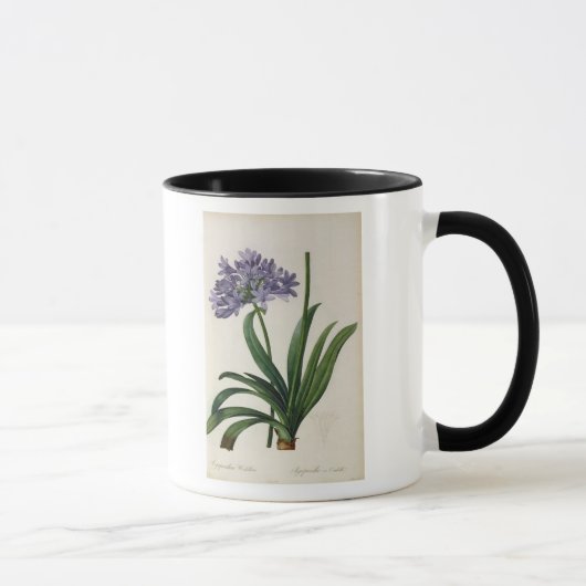 Mug Umbrellatus d'Agapanthus (Droite)