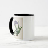 Mug Umbrellatus d'Agapanthus (Devant gauche)