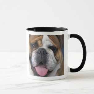 Mug Un bouledogue anglais en Belgique.