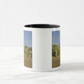 Mug Un champ cultivé devant des maisons à toit de chau (Centre)