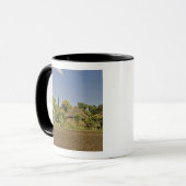 Mug Un champ cultivé devant des maisons à toit de chau (Devant gauche)