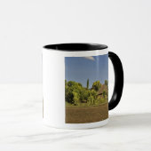 Mug Un champ cultivé devant des maisons à toit de chau (Devant droit)