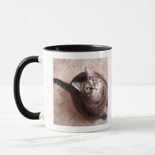 Mug Un chat tigré recherchant (Gauche)