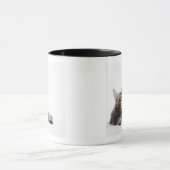 Mug Un chaton de chat de ragondin du Maine (Centre)