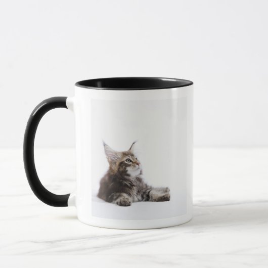 Mug Un chaton de chat de ragondin du Maine (Gauche)