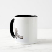 Mug Un chaton de chat de ragondin du Maine (Devant gauche)