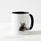 Mug Un chaton de chat de ragondin du Maine (Devant droit)