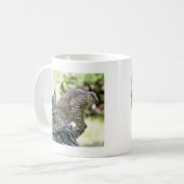 Mug Un chaton espiègle de Lynx de Canadien (Devant gauche)