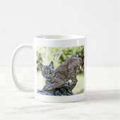 Mug Un chaton espiègle de Lynx de Canadien (Gauche)