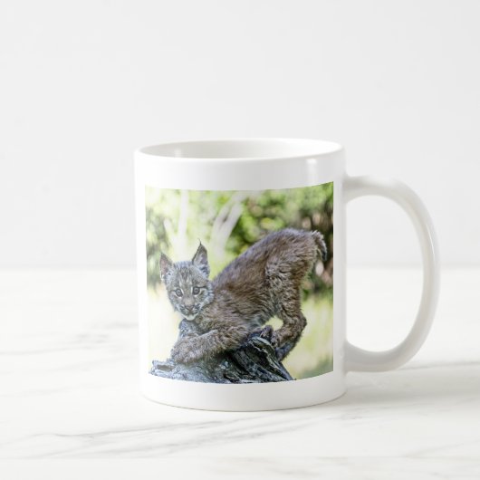Mug Un chaton espiègle de Lynx de Canadien (Droite)