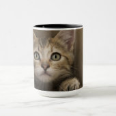 Mug Un chaton tigré très doux (Centre)
