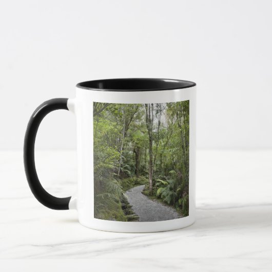 Mug Un chemin à travers une forêt tropicale à la base (Gauche)