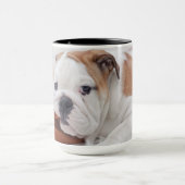 Mug Un chiot anglais de bouledogue jouant avec un (Centre)