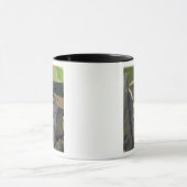 Mug Un démon, du 'couronnement du Virgin (Centre)