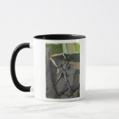 Mug Un démon, du 'couronnement du Virgin (Gauche)