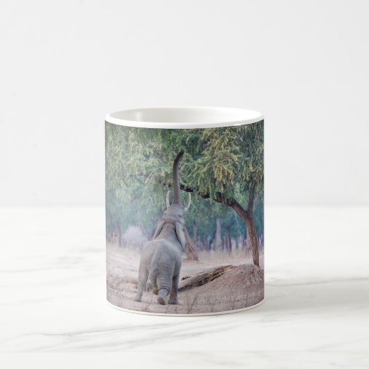 Mug Un éléphant pour l'acia (Centre)