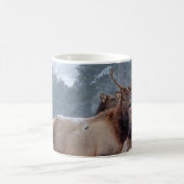 MUG UN GROUPE DE DEERS (Centre)