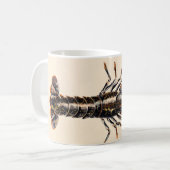 Mug Un homard de Solva (Devant gauche)