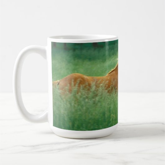 Mug Un Jeune Stallion Traverse Le Milieu (Gauche)