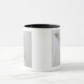 Mug Un lapin blanc. Le Jersey Wooly. (Centre)