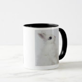 Mug Un lapin blanc. Le Jersey Wooly. (Devant droit)