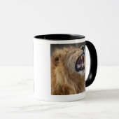 Mug Un lion masculin mûr (Panthera Lion) dans le (Devant droit)