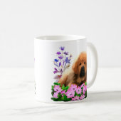 Mug Un Mastiff espiègle est allongé sur le sol (Devant droit)