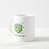 Mug Un oeil plus attentif à ce que je mange (la (Devant gauche)