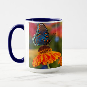 Mug Un Papilio troilus, Papilio troilus