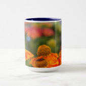 Mug Un Papilio troilus, Papilio troilus (Centre)