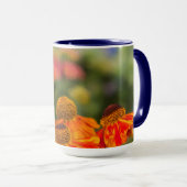Mug Un Papilio troilus, Papilio troilus (Devant droit)