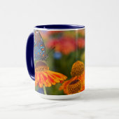 Mug Un Papilio troilus, Papilio troilus (Devant gauche)