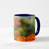 Mug Un Papilio troilus, Papilio troilus (Devant droit)