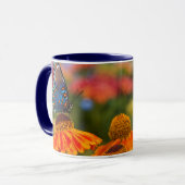 Mug Un Papilio troilus, Papilio troilus (Devant gauche)