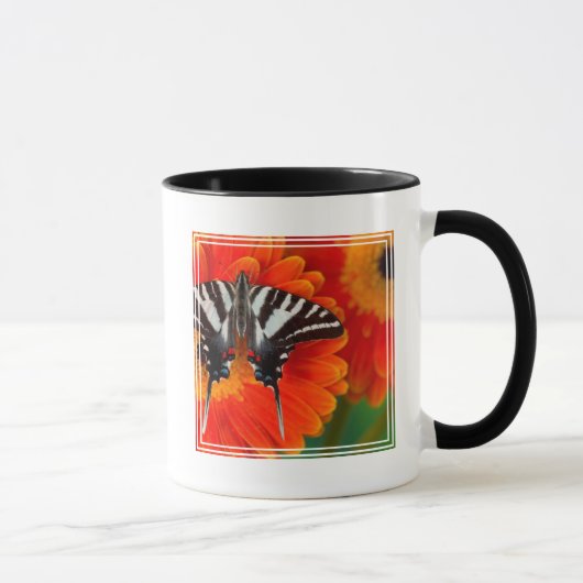 Mug Un papillon Eurytides marcellus (Droite)