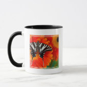 Mug Un papillon Eurytides marcellus (Gauche)